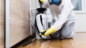 Best Real Estate Pest Inspections  in Martinsburg, PA